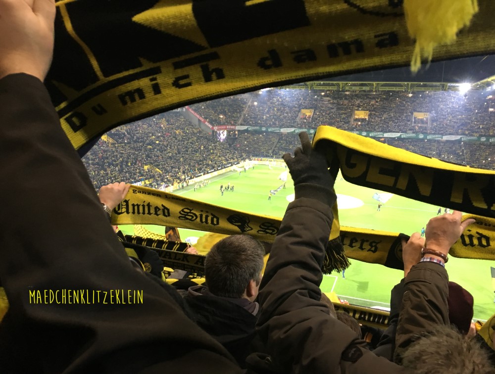 bvb1.jpg