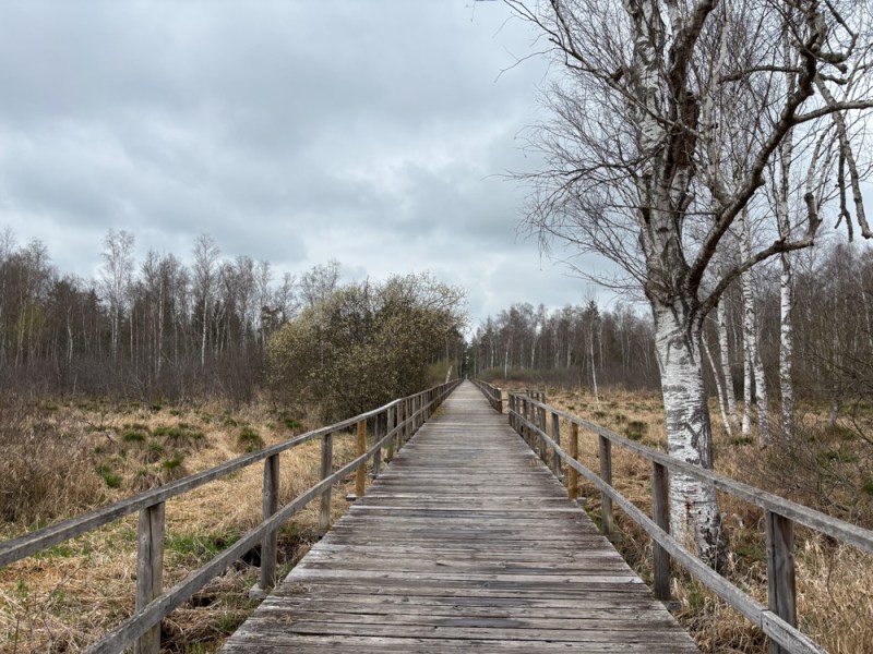 Federsee [Baden-Württemberg]
