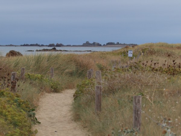 Reserve Naturelle du sillon de Talbert&nbsp;[Frankreich]