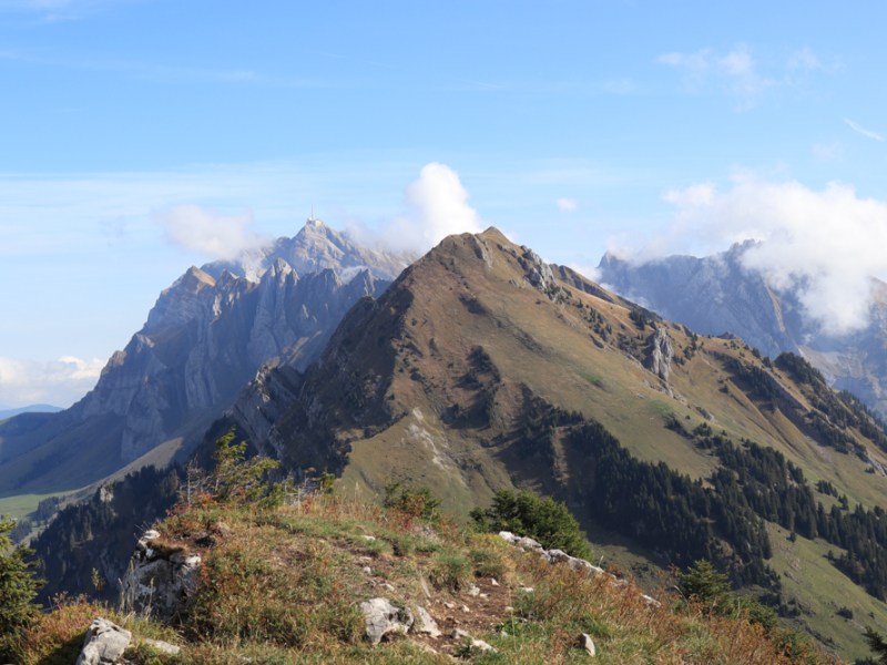 Alplispitz [Schweiz]